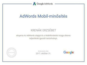 Google AdWords Mobilminősítés - Online Marketing